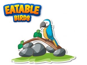 Bird Adventure Arcade Game