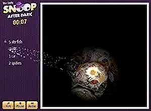 The Daily Snoop After Dark Hidden Object Game