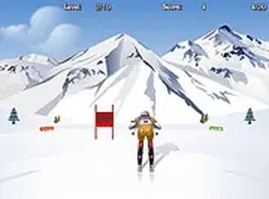 Giant Slalom Winter Sports Game