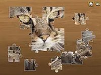 Jigsaw Puzzle Classic