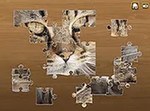 Jigsaw Puzzle Classic Online Game